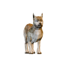 Cane Selvaggio